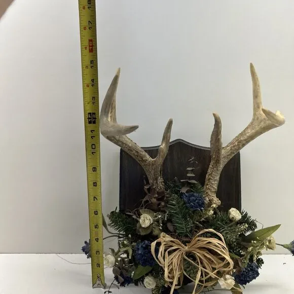 Vintage Floral Deer Antlers Trophy Mount Plaque 8 Point Cabin Decor Rustic